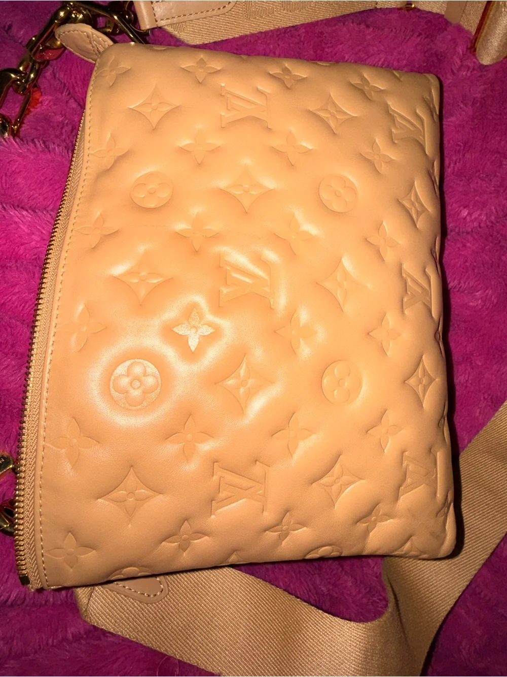 Louis Vuitton Coussin PM
